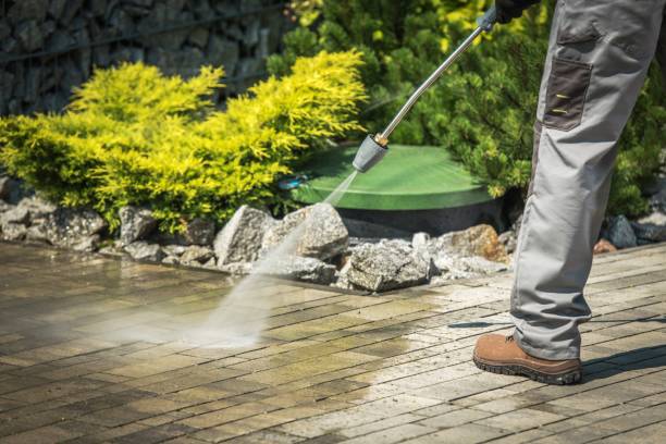 Best Boat and Dock Cleaning  in Gridley, IL